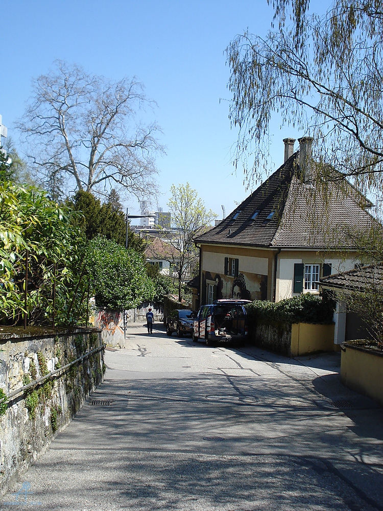 DSC08003
