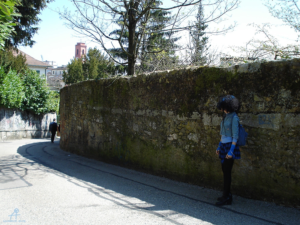DSC08009