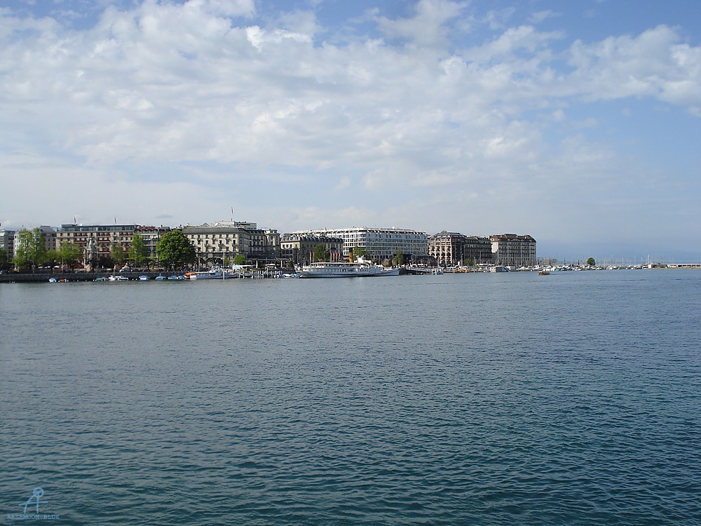 DSC08050