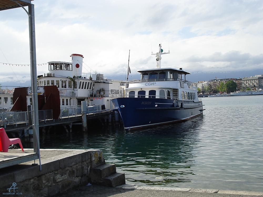 DSC08064 (2)