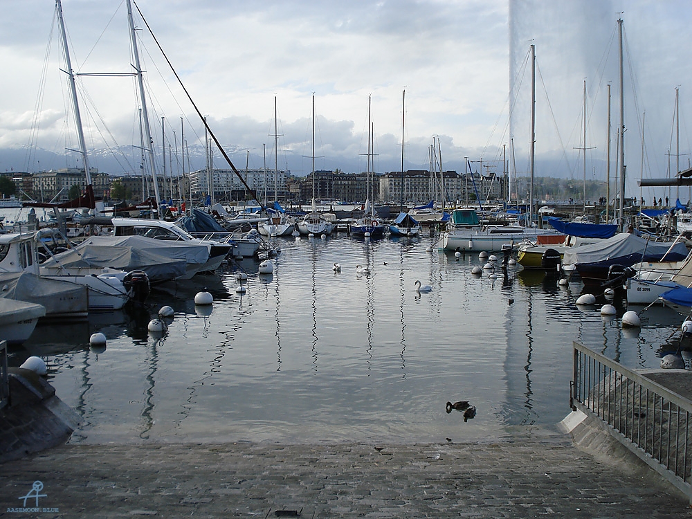 DSC08069