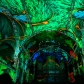 DSC02187