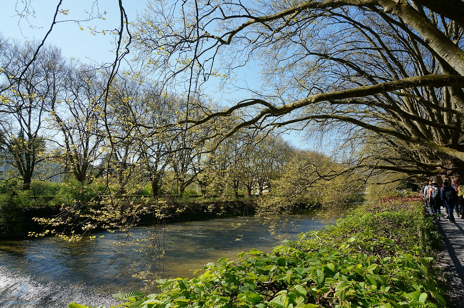 DSC04980