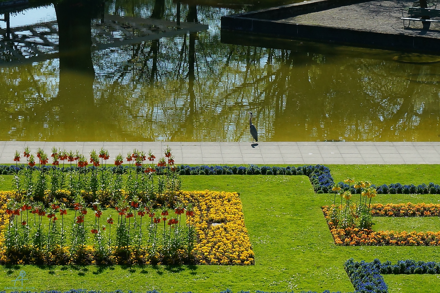 DSC05024