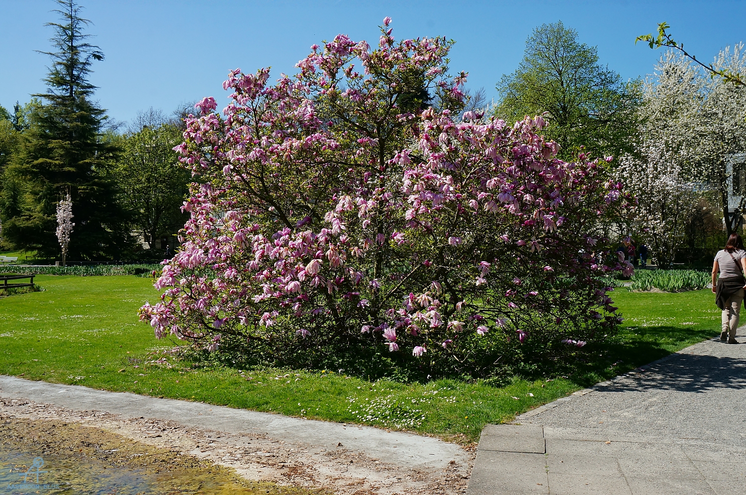 DSC05032