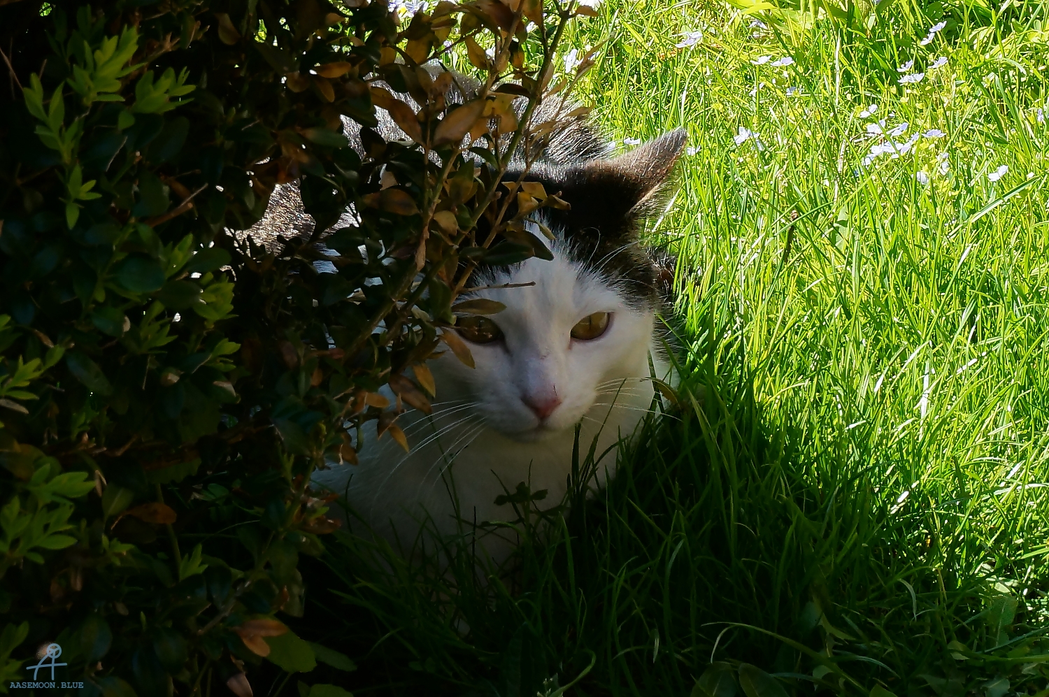 DSC05042