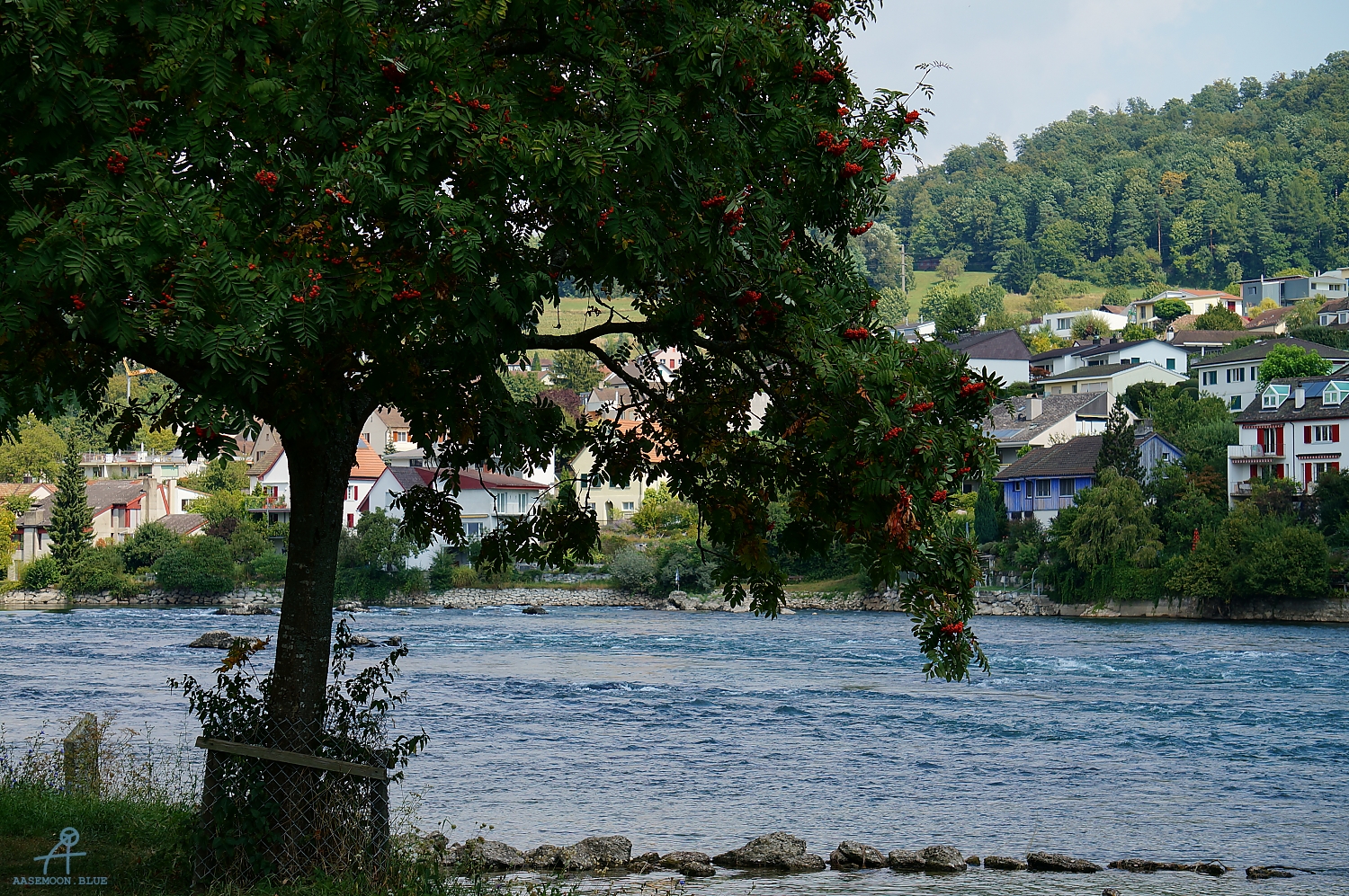 DSC00861