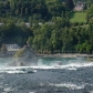 DSC00977