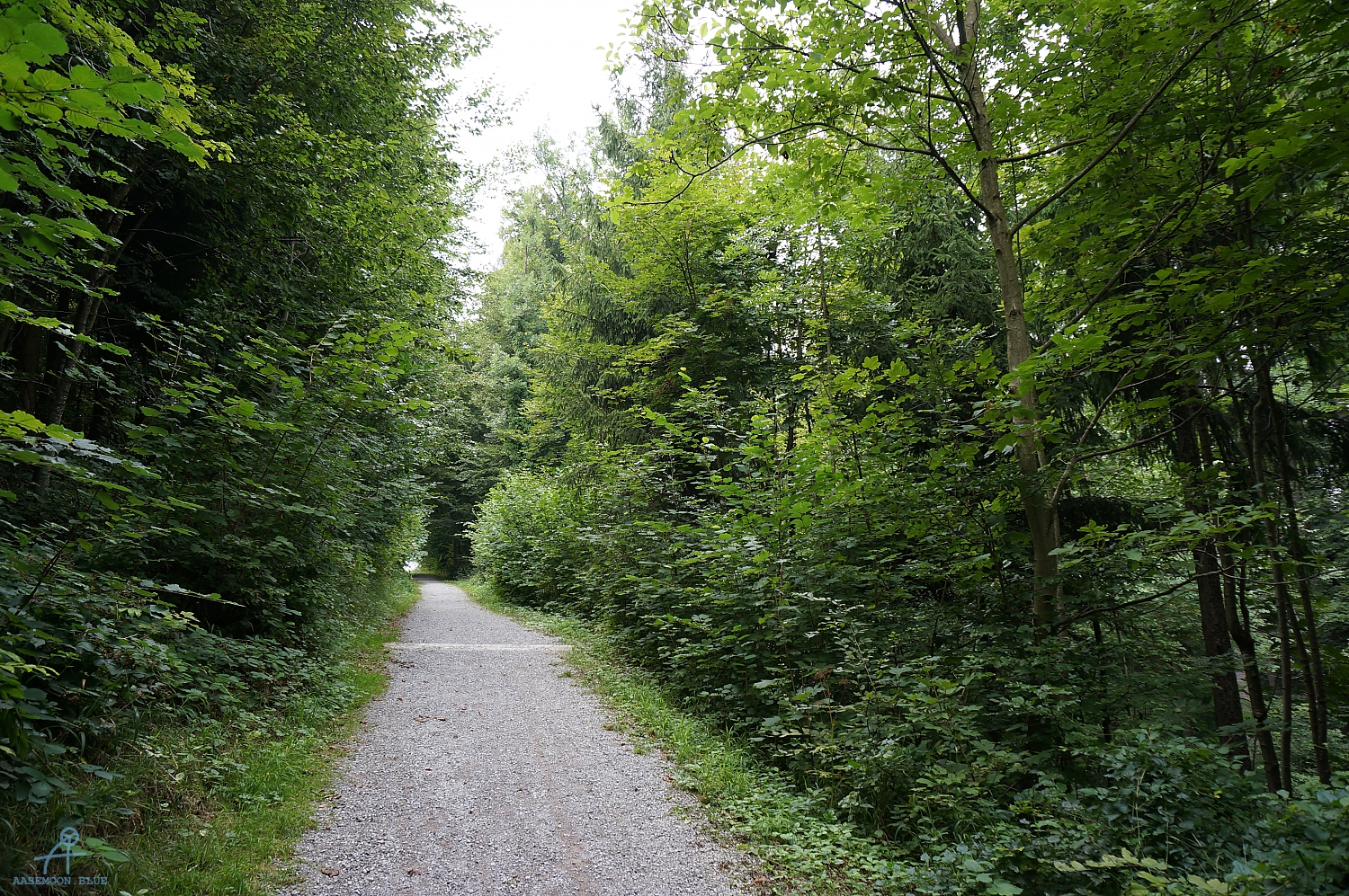 DSC00567