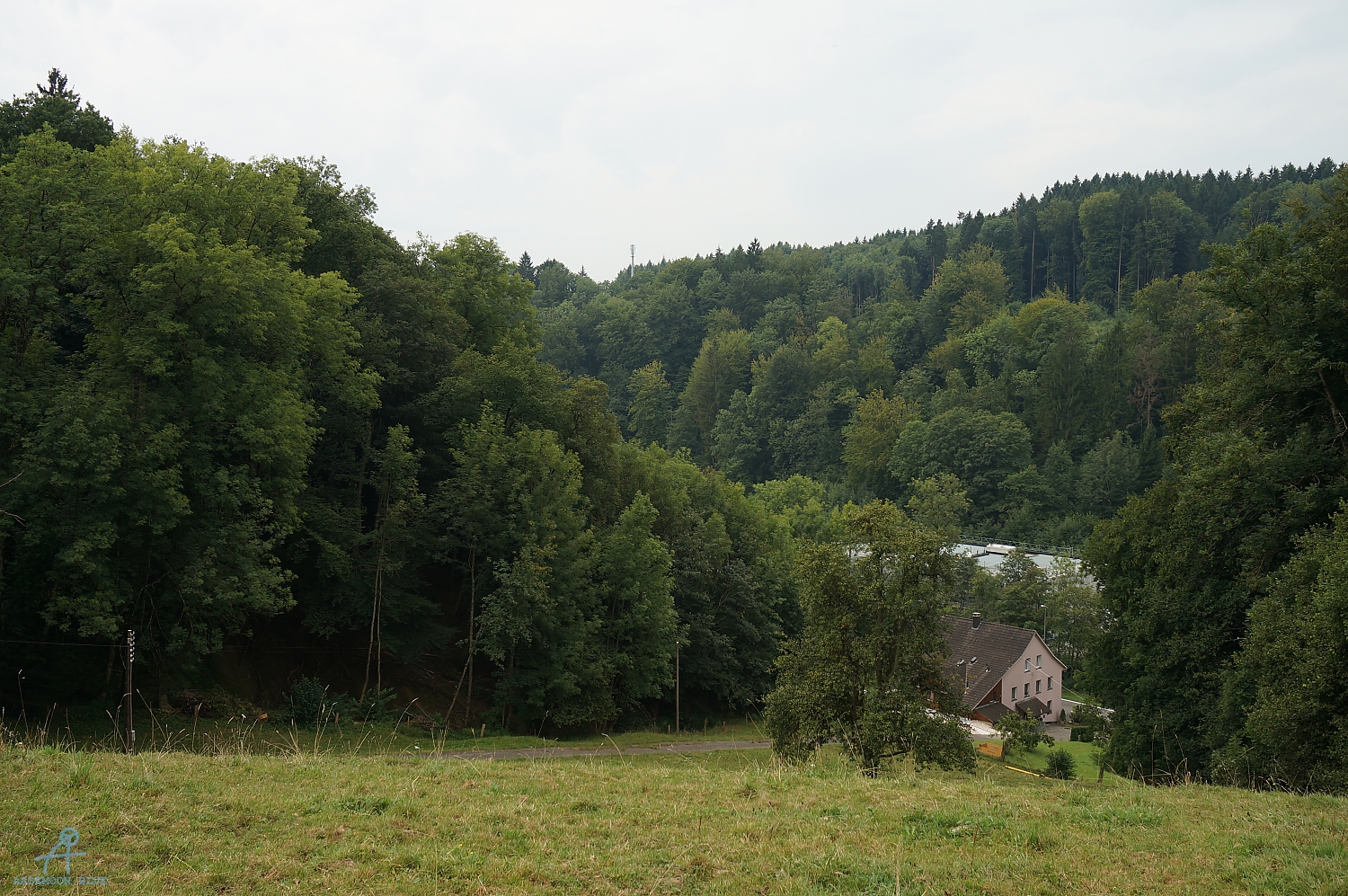DSC00573