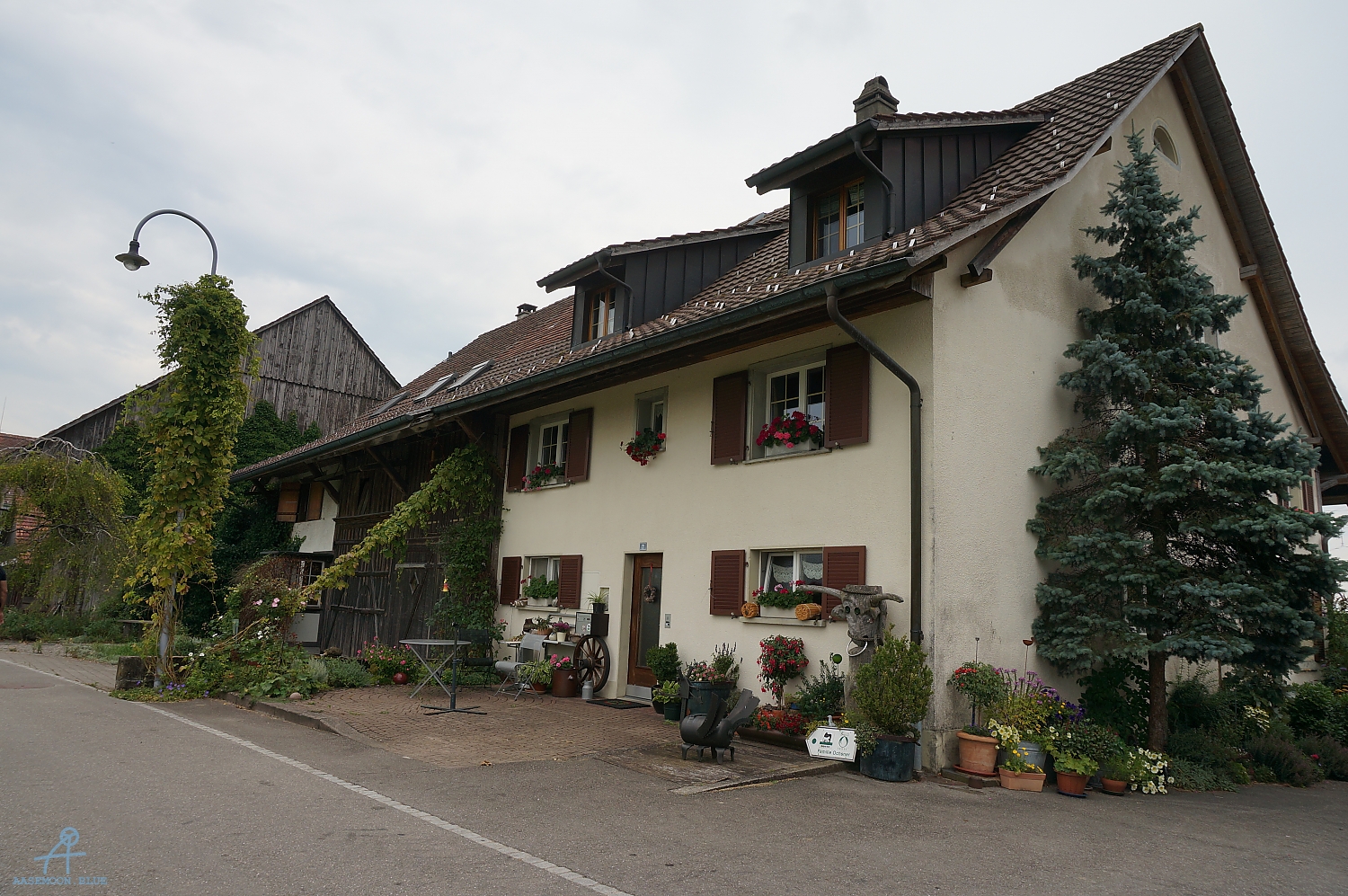 DSC00580
