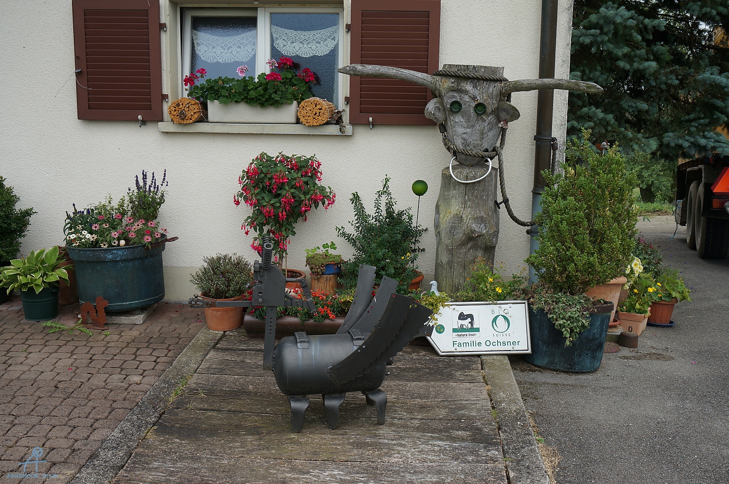 DSC00581