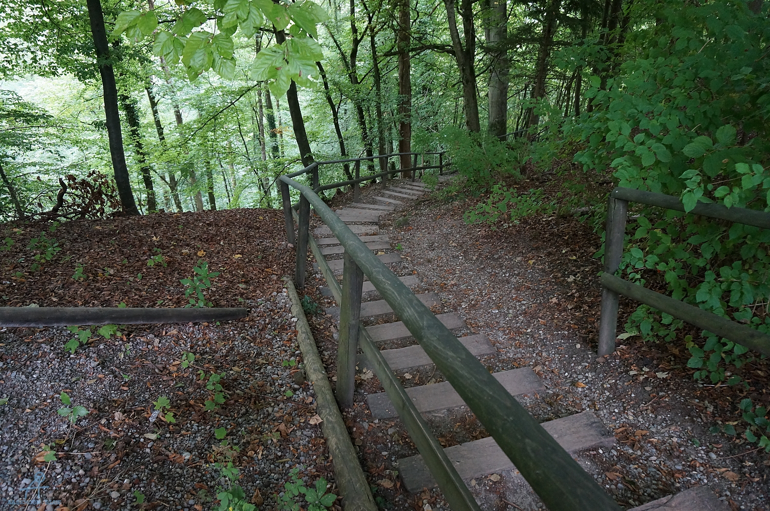 DSC00596