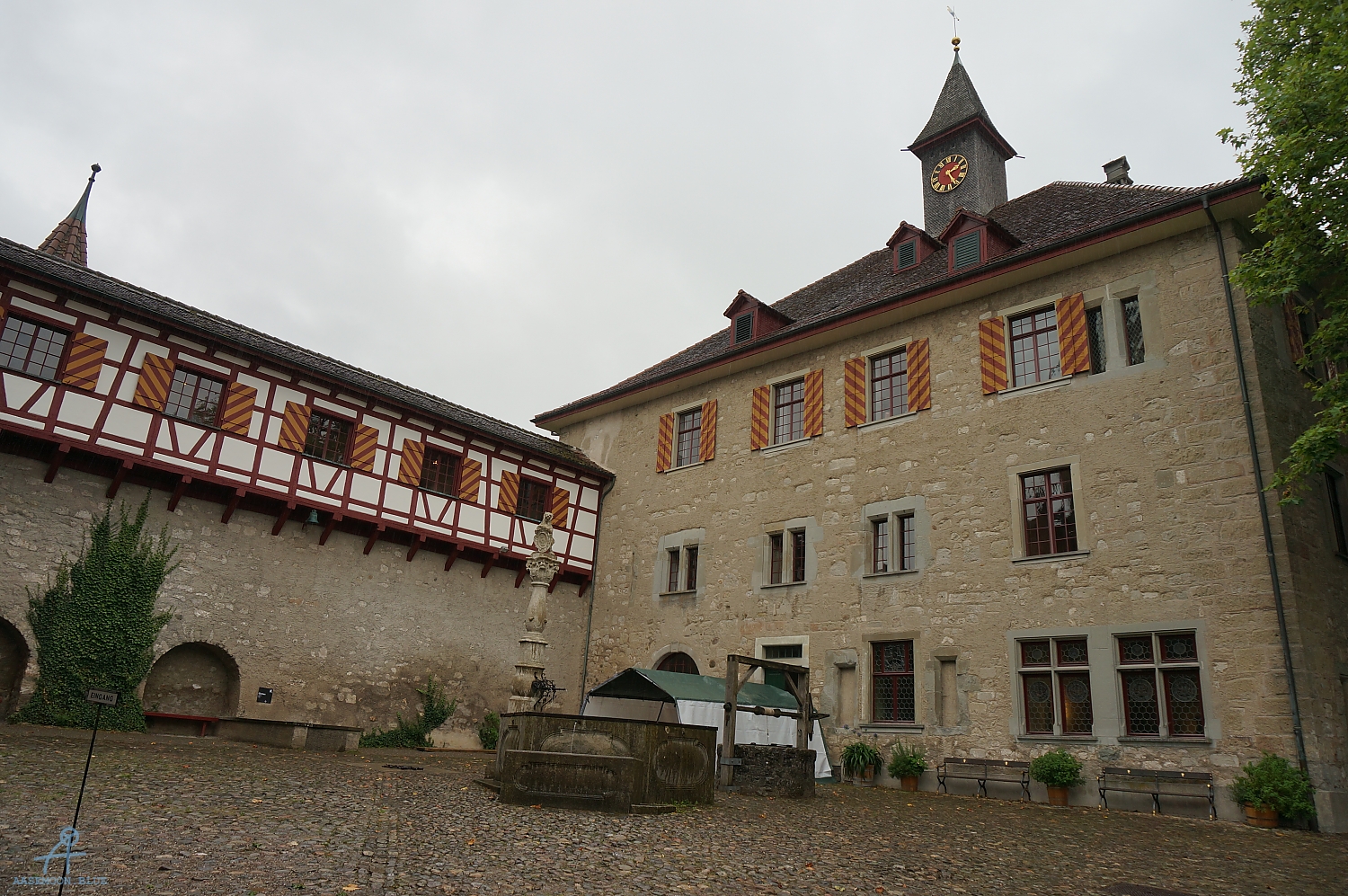 DSC00605