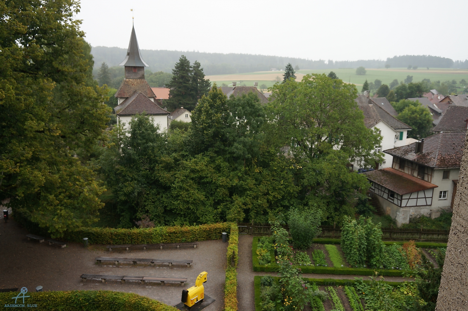DSC00666