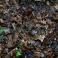 DSC00718