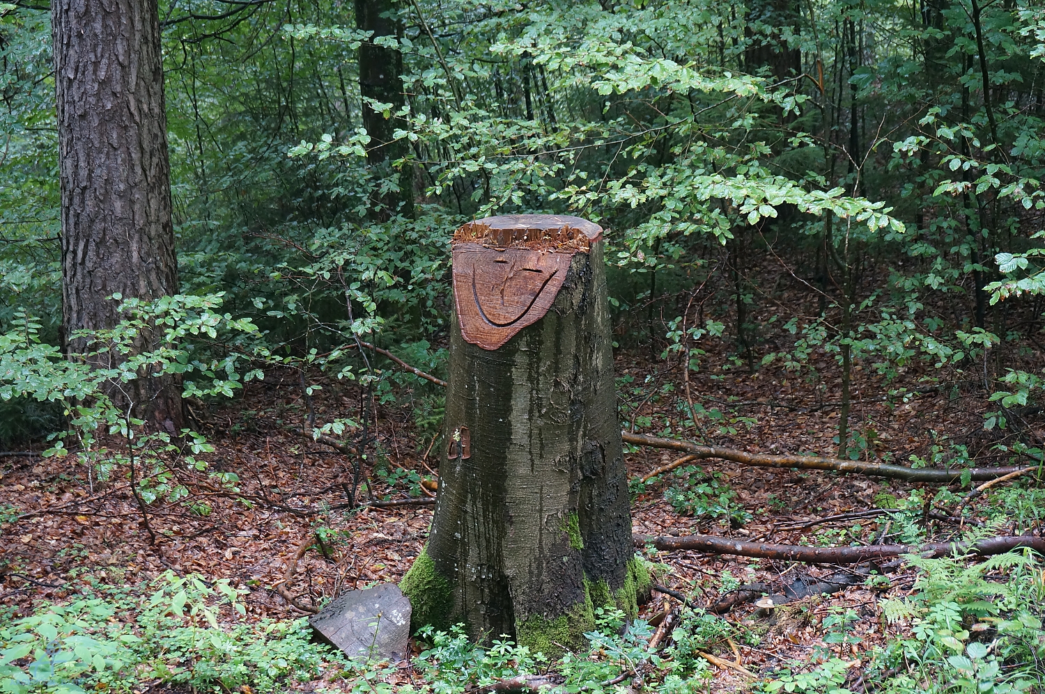 DSC00722