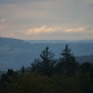 DSC00773