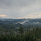 DSC00785