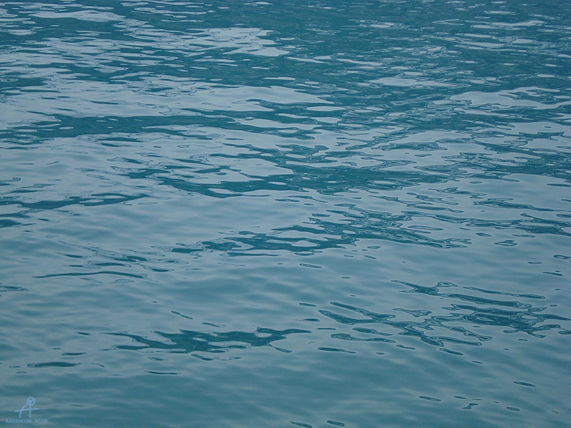 DSC01561