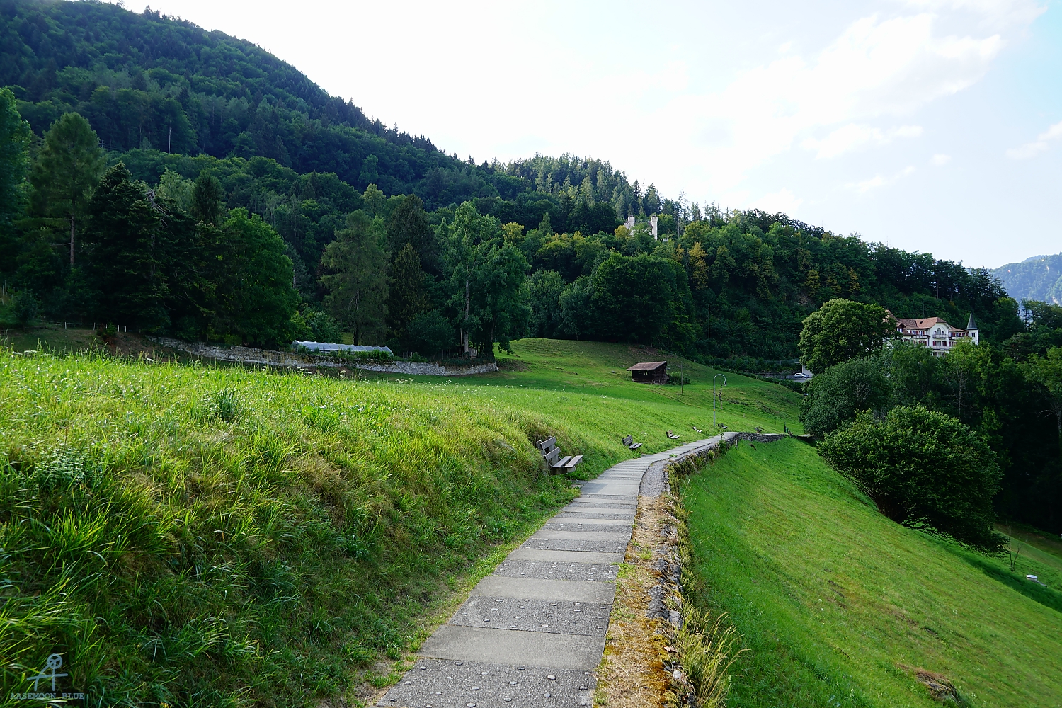 DSC05500