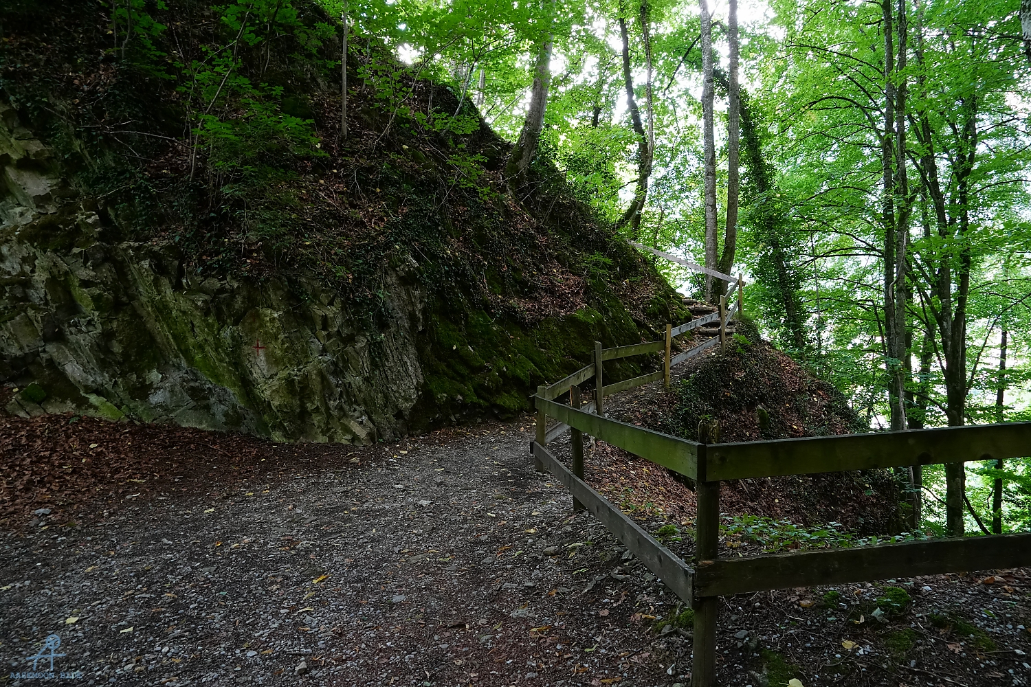 DSC05544