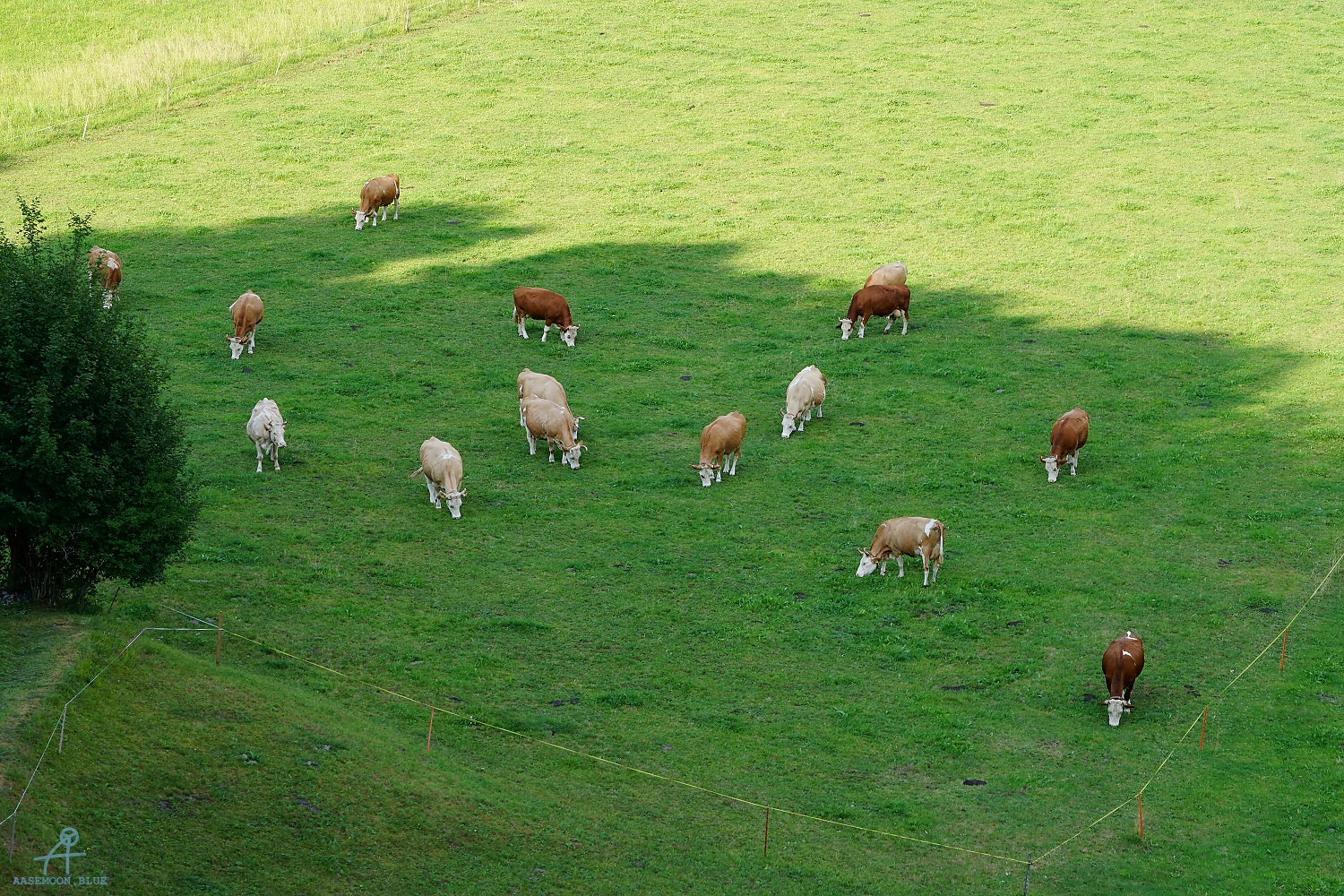DSC05600