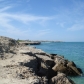 DSC04346