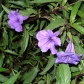 DSC04441