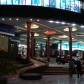 DSC04453