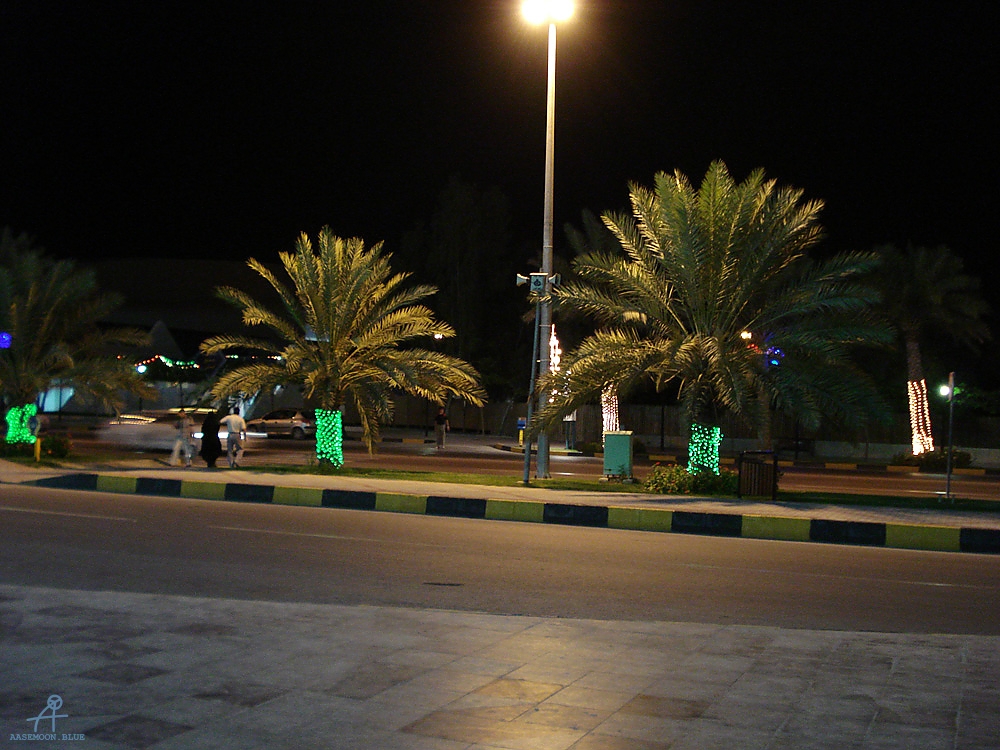 DSC04459