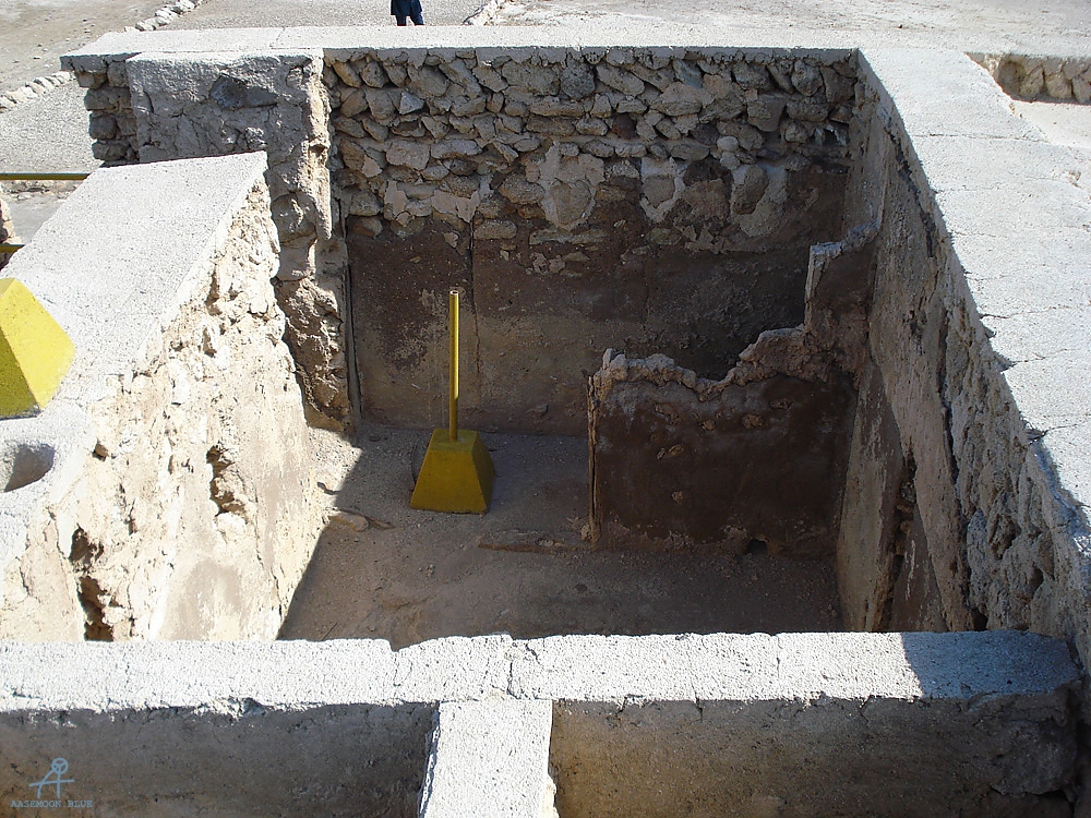 DSC04203