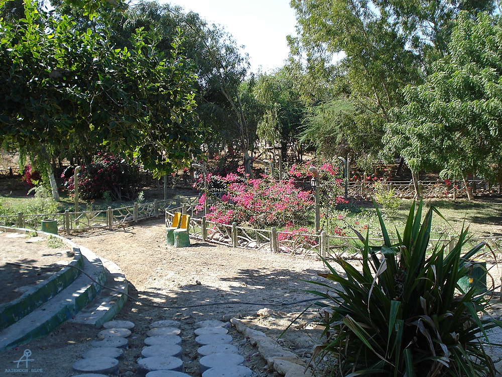DSC04271