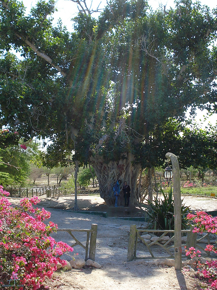DSC04279
