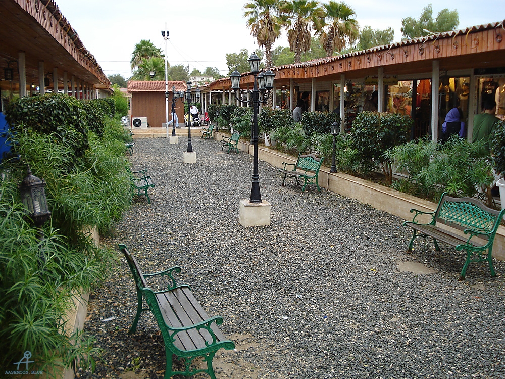DSC04815