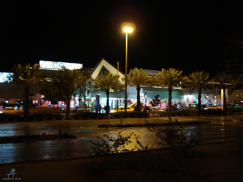 DSC04828