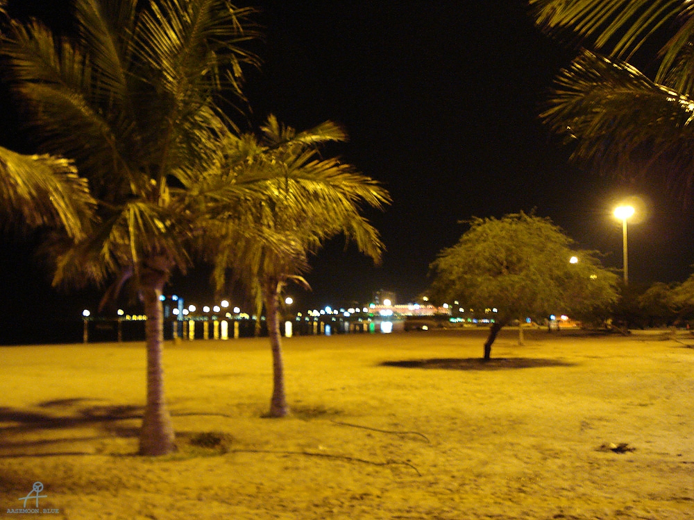 DSC04881