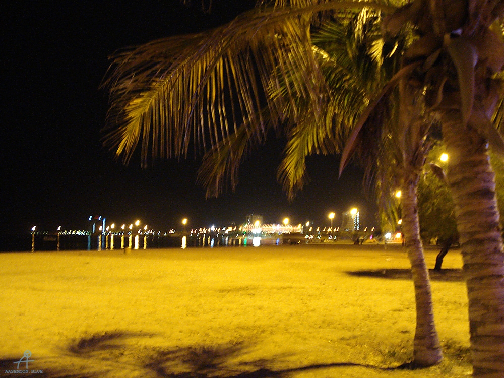 DSC04883