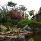 DSC04911