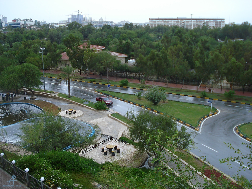 DSC04930