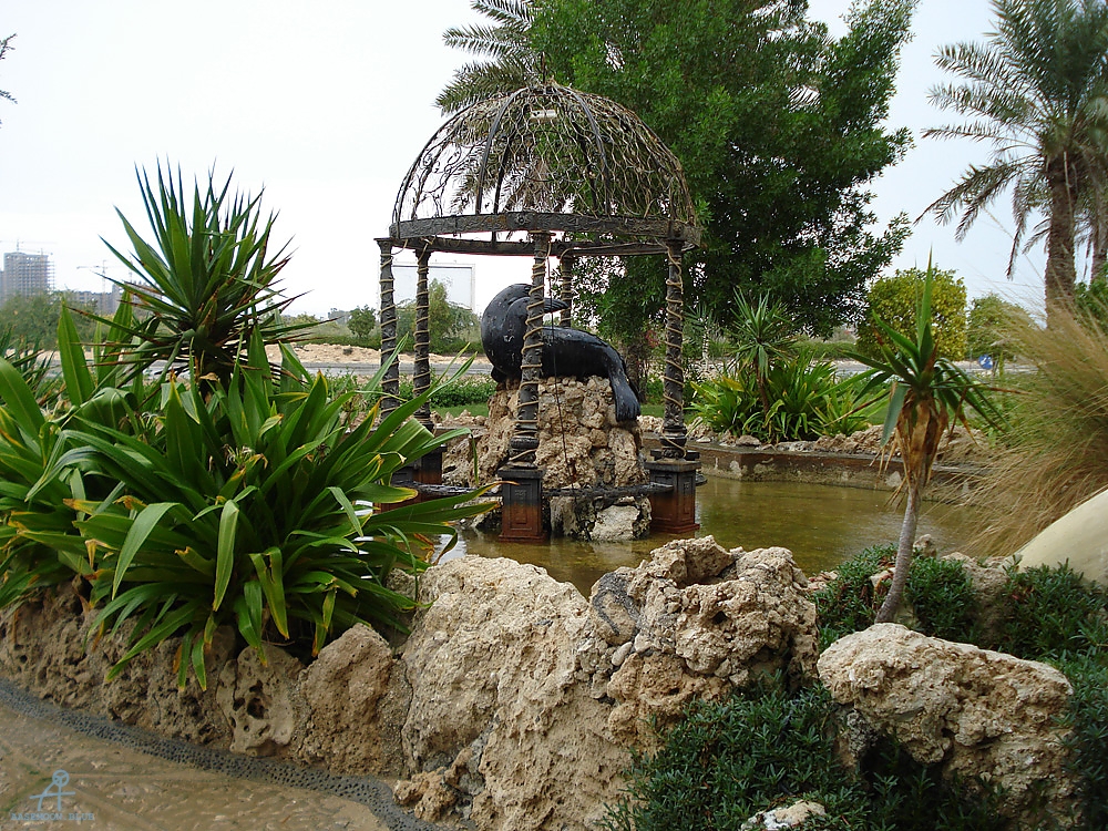 DSC04943