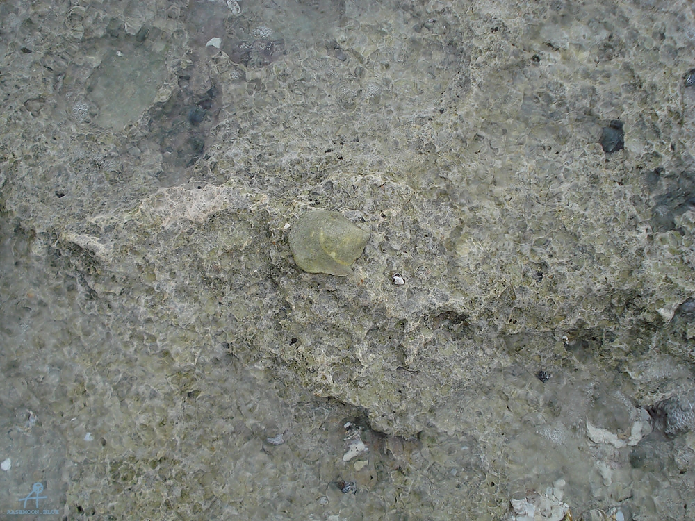 DSC04975