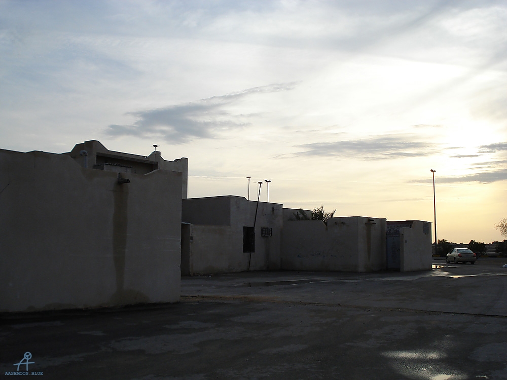 DSC04991