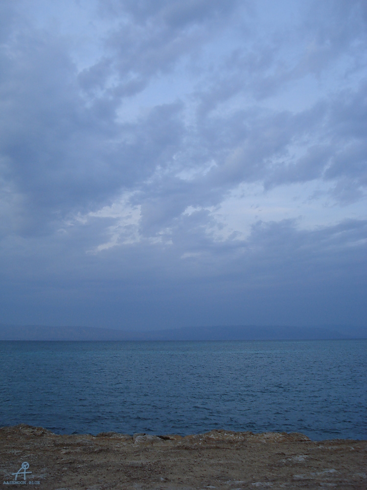 DSC04997