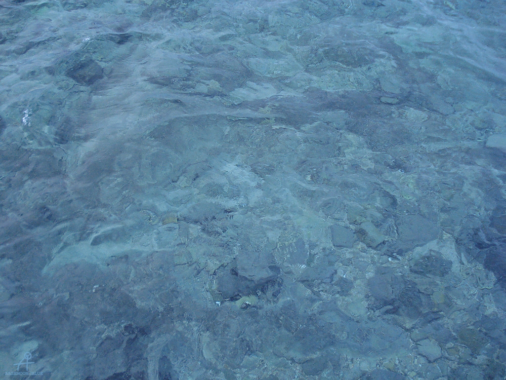 DSC05003