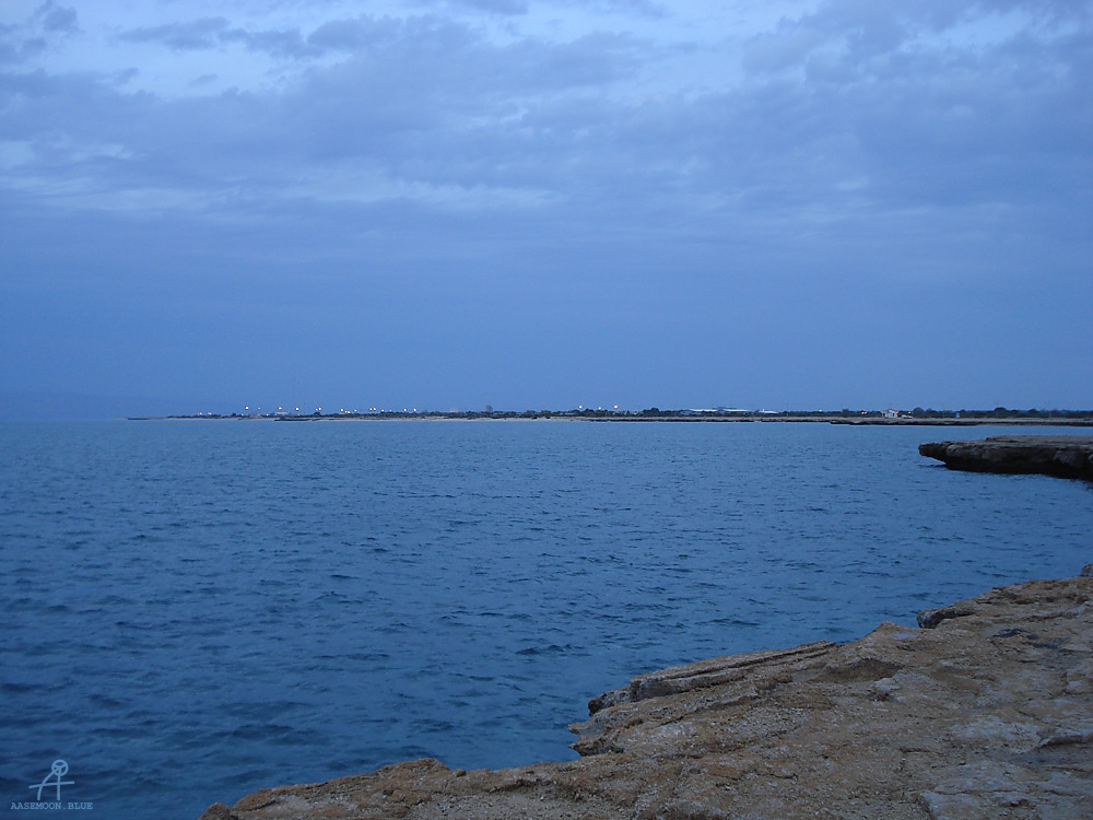 DSC05009
