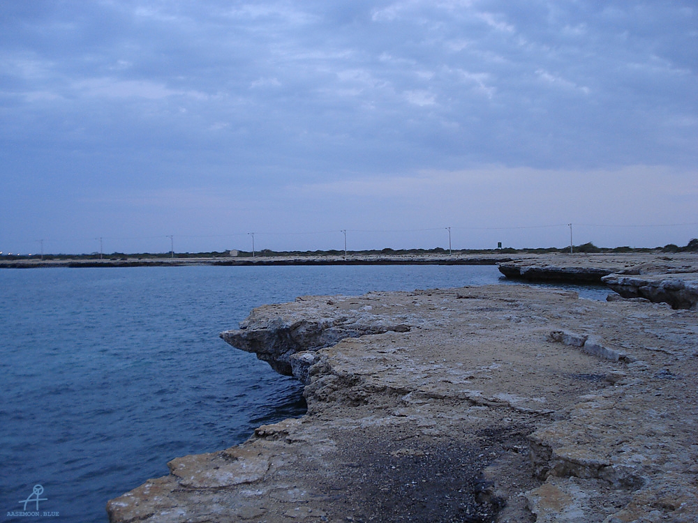 DSC05022