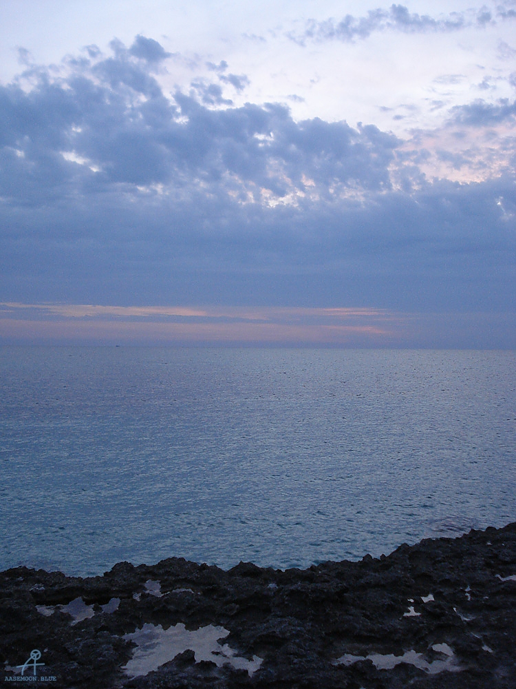 DSC05042