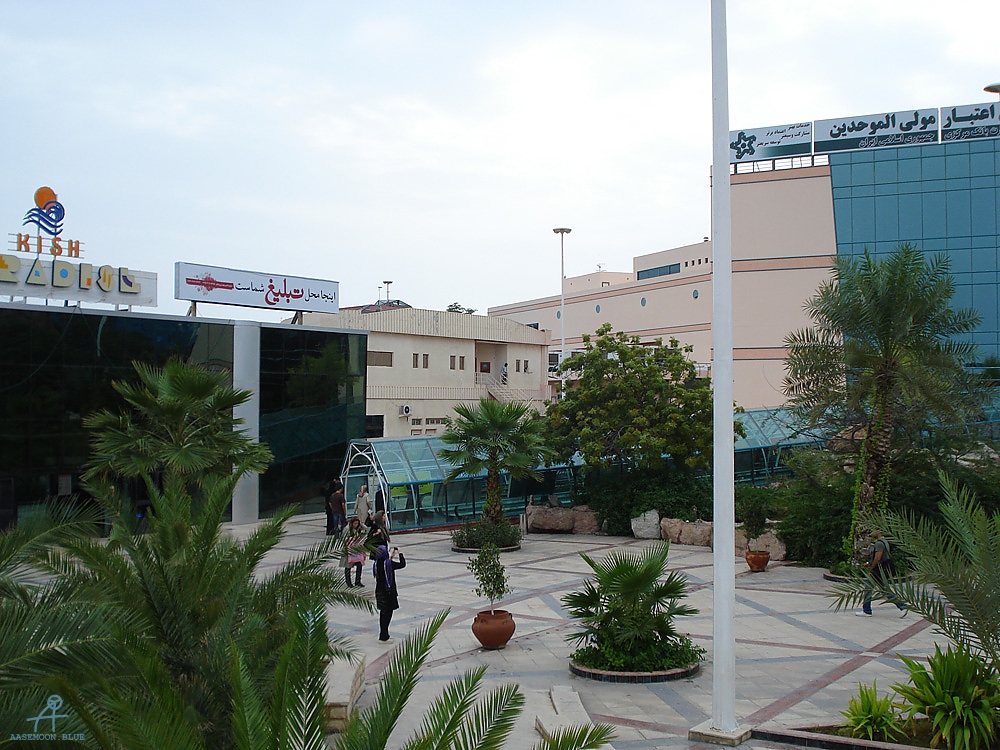 DSC05072