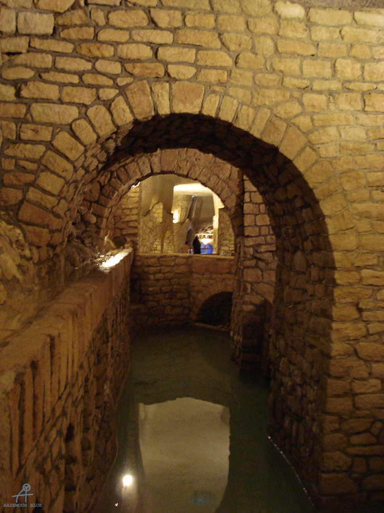 DSC04566
